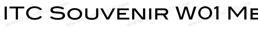ITC Souvenir W01 Medium字体转换
